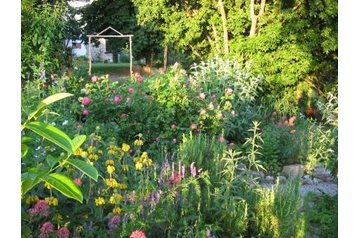 Slovēnija Privát Kobdilj, Eksterjers